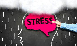 Temel Mindfluness Atölye Çalışması