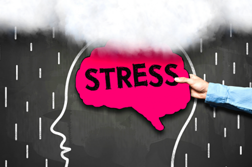 Temel Mindfluness Atölye Çalışması